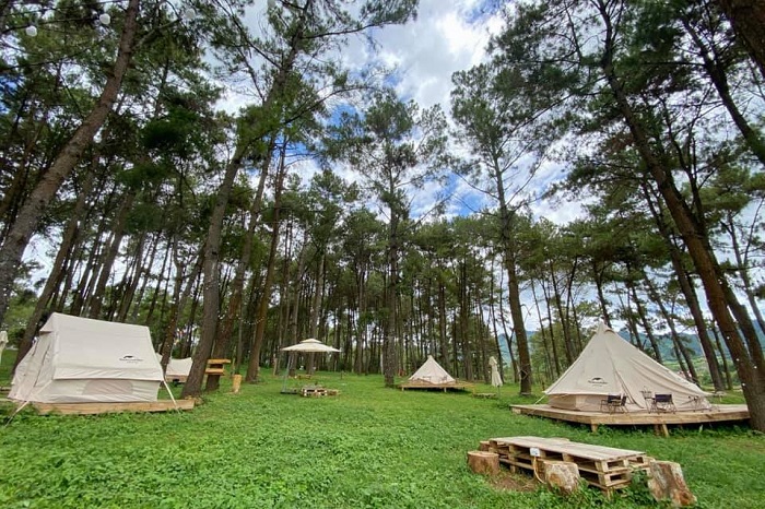 Khu cắm trại trong rừng thông Bản Áng