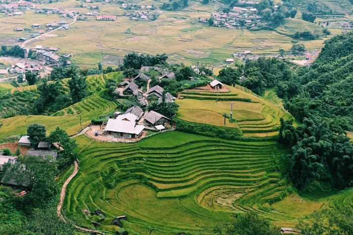 Bản Tả Phìn là một ngôi làng của người Dao đỏ ở Lào Cai, cách trung tâm thị trấn Sapa về phía Tây Bắc khoảng 17km