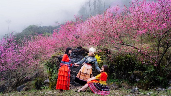 Khung cảnh mùa xuân ở Hà Giang thật mỹ miều bởi hoa đào, hoa mận nở rộ khắp bản làng khiến lòng ai cũng phải xao xuyến