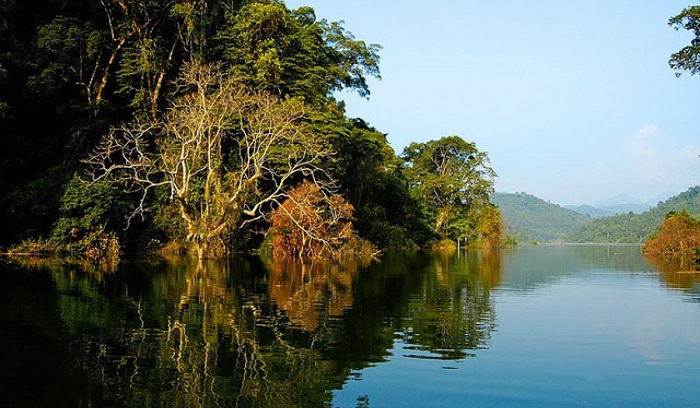 Khu bảo tồn thiên nhiên nằm ở phía Đông Nam huyện Na Hang tỉnh Tuyên Quang