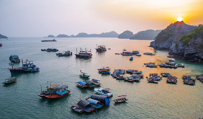 Du lịch Đảo Cát Bà khám phá Cái Bèo là làng chài cổ nhất Việt Nam có tuổi đời lên tới 7000 năm tuổi.