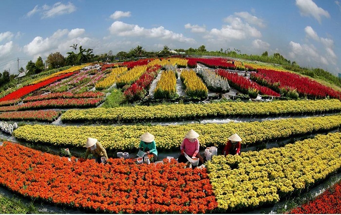 Vườn hoa nổi tiếng tại Cần Thơ