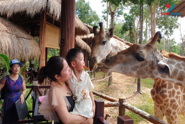 Vinpearl Safari Phú Quốc - Vườn thứ Bán hoang dã đầu tiên tại Việt Nam