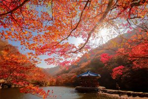 Vườn Quốc Gia Naejiangsan mùa lá đỏ