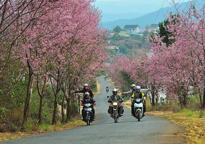 Phượt xe máy đến Đà Lạt là lựa chọn được nhiều bạn trẻ lựa chọn bởi bạn sẽ chủ động được lịch trình cũng như có thể dừng lại chiêm ngưỡng những cảnh quan xinh đẹp trên đường đến Đà Lạt vô cùng xinh đẹp