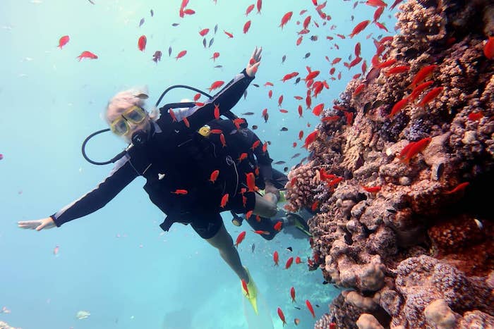Lặn sâu dưới nước bạn có dịp được ngắm những sinh vật tuyệt đẹp ở dưới đại dương và đùa vui với vô vàn sinh vật đang bơi quanh mình