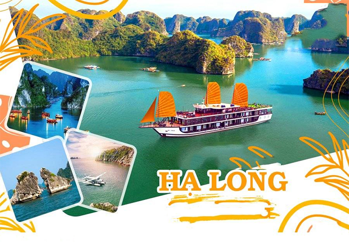 Chi phí du lịch Hạ Long theo tour hết bao nhiêu tiền?