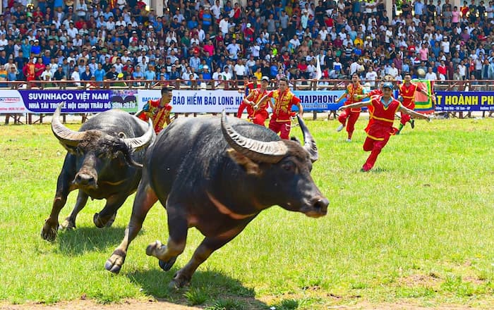 Địa điểm du lịch Đồ Sơn