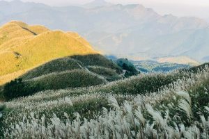 Du lịch Bình Liêu mùa cỏ lau