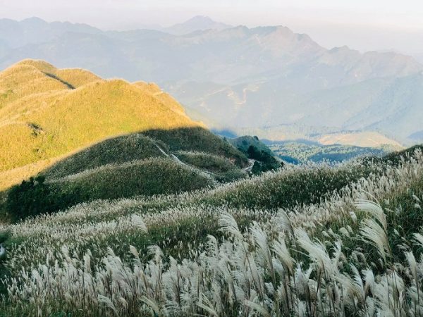 Du lịch Bình Liêu mùa cỏ lau