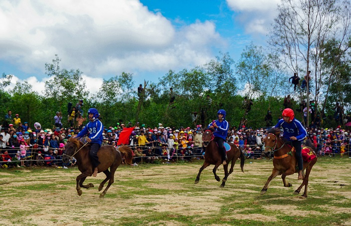 Tham gia Lễ hội đua ngựa Phú Yên