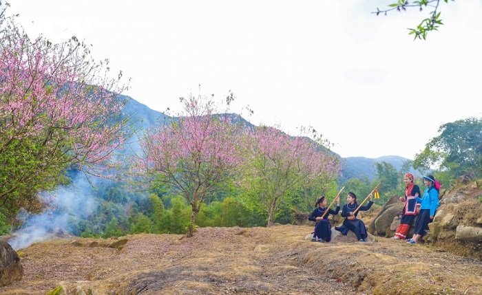 Mùa xuân trên núi Cao Ba Lanh