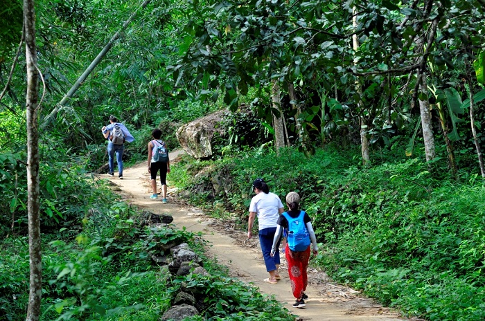 Con đường khám phá rừng nguyên sinh Pù Luông