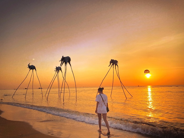 Săn hình đẹp với Sunset Sanato