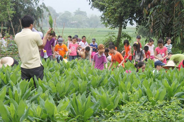 Trang trại đồng quê Ba Vì