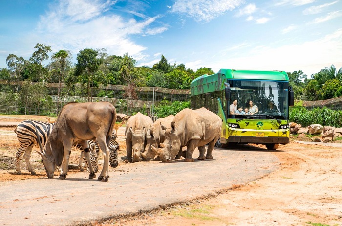 Trải nghiệm “nhốt người thả thú” tại Vinpearl Safari Phú Quốc