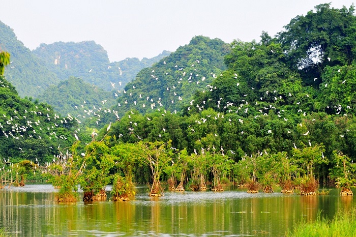 Bảo tháp chùa Bái Đính