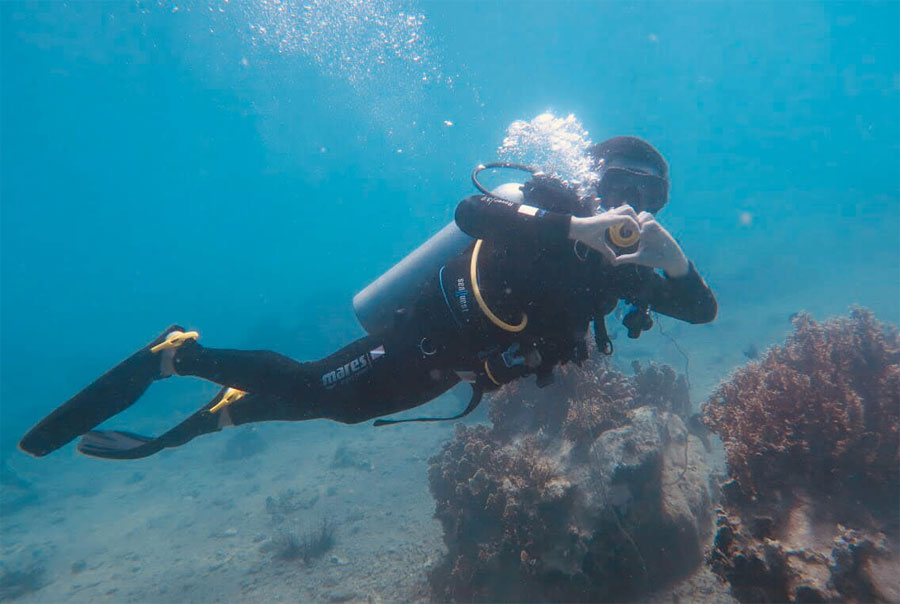 Trải nghiệm lặn ngắm san hô tại Hòn Mun