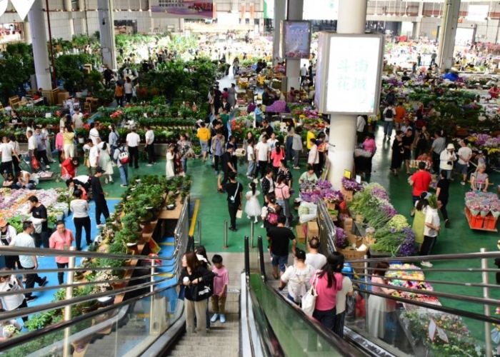 Chợ hoa Đấu Nam - Chợ hoa lớn nhất Châu Â