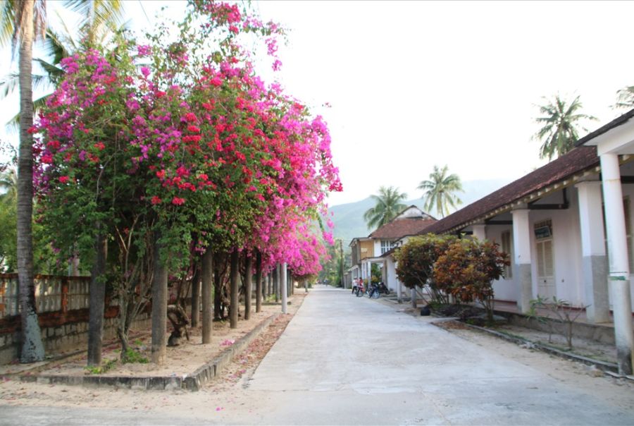 Làng phong Quy Hòa - ngôi làng cổ tuyệt đẹp tại Quy Nhơn