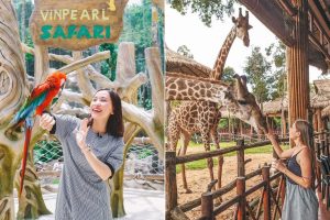 Trải nghiệm thú vị khi đến Safari Phú Quốc