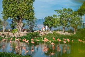Vườn thú Quý Vương - vườn thú mở độc đáo tại Nha Trang
