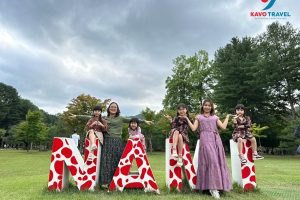 • Đảo Nami (Nami Island)– hòn đảo mang vẻ đẹp bình yên nhờ phong cảnh thiên nhiên hữu tình, thơ mộng.