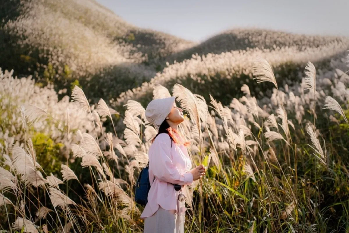 Tour Du lịch Bình Liêu - Trà Cổ 3 ngày 2 đêm - Giá ưu đãi - Ảnh 4
