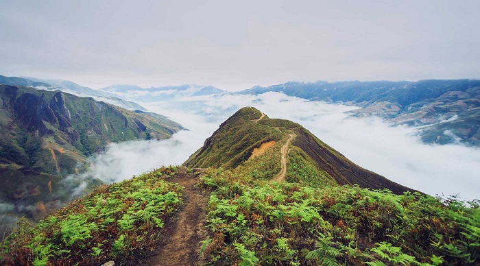 Giới thiệu về Tà Xùa 