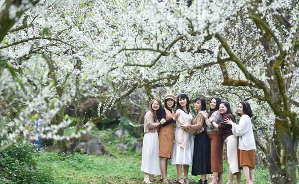 Với lịch trình khoa học, hướng dẫn viên nhiệt tình và nhiều trải nghiệm thú vị, tour Mộc Châu của Kavo Travel sẽ mang đến cho bạn một chuyến đi đáng nhớ.