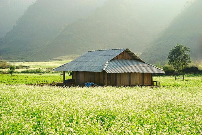 Mộc Châu mỗi mùa mang một nét đẹp riêng