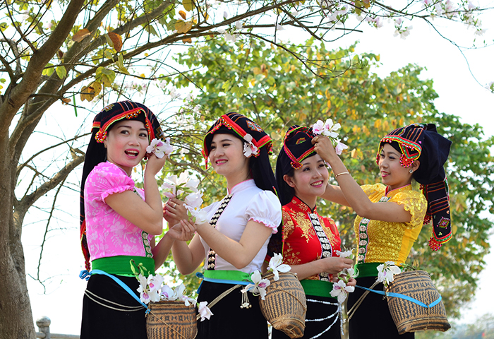 Lễ hội hoa ban được tổ chức vào tháng 3 tại Điện Biên chính là dịp để tôn vinh vẻ đẹp cũng như giá trị của loài hoa này trong đời sống văn hóa của đồng bào các dân tộc tại Tây Bắc.