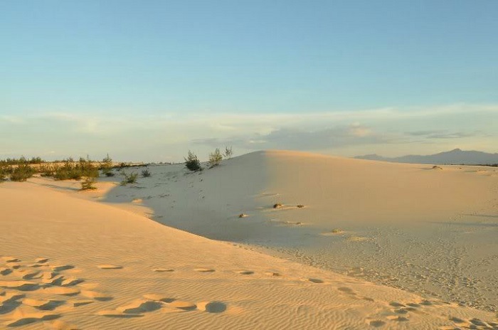 Cồn cát Quang Phú 