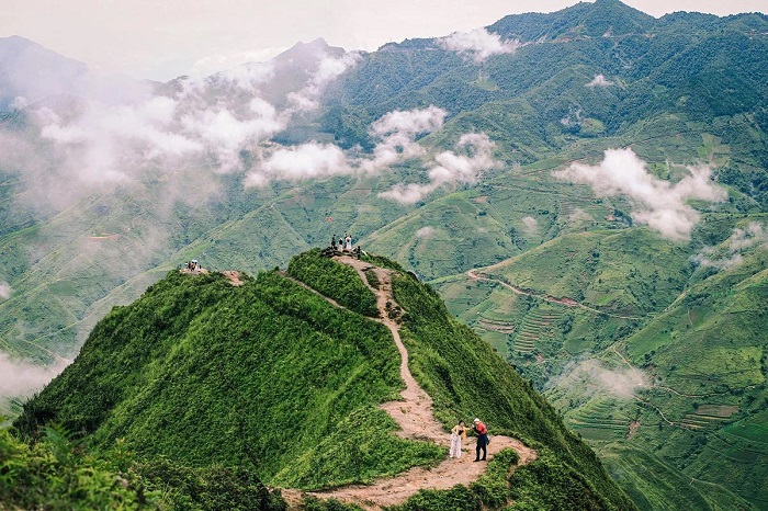 Sống lưng Khủng long 