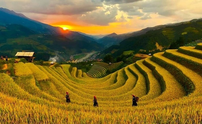 Du lịch Mù Cang Chải tháng 8-9 có gì? Du khách nhất định không thể bỏ qua đồi móng ngựa