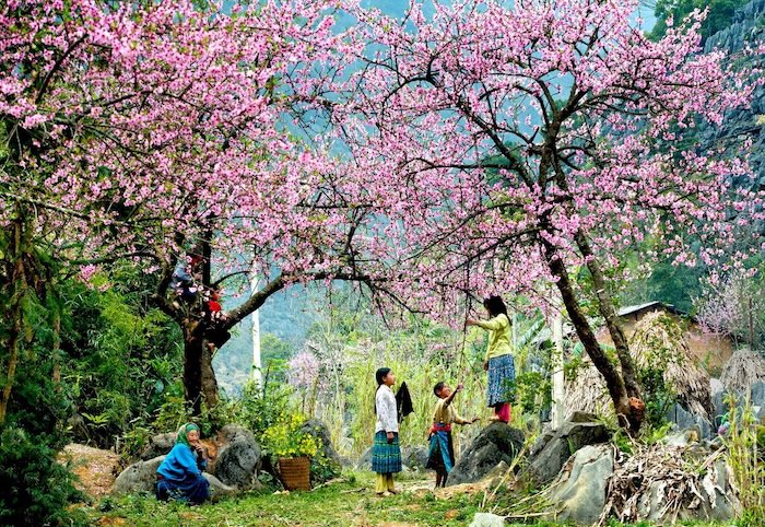 Tây Bắc - Vùng đất khiến du khách phải xao xuyến khi đến, nuối tiếc khi rời đi