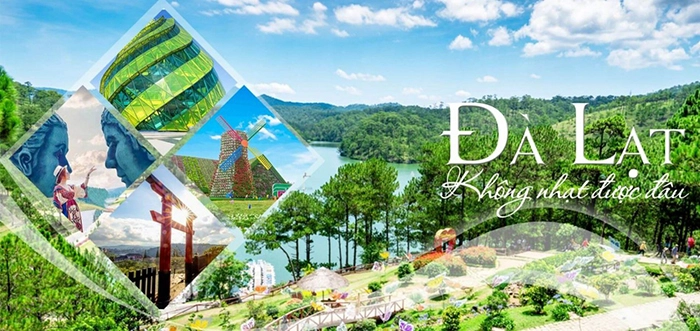 Đến Đà Lạt du khách có thể tham quan các vườn hồng, vườn dâu tây, nghỉ dưỡng tại homestay giữa thiên nhiên, tạo nên trải nghiệm thư giãn, bình yên và đầy màu sắc mùa thu.