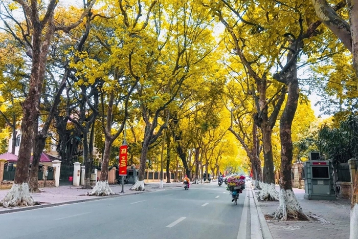 Du lịch mùa thu là thời điểm lý tưởng để tận hưởng cảnh sắc thiên nhiên, trải nghiệm văn hóa địa phương, chụp ảnh, trekking hay thưởng thức ẩm thực đặc sản.