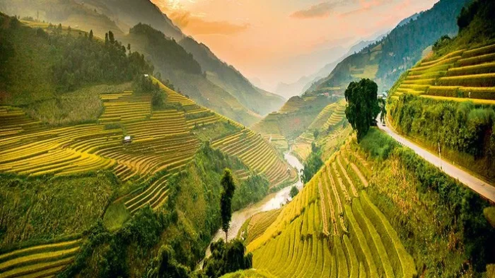 Đi Mù Cang Chải mùa lúa chín vào tháng 9 đến tháng 10 chính là thời gian thuận lợi nhất.