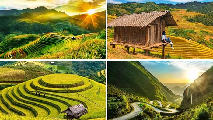 Đến Mù Cang Chải khám phá cánh đồng lúa chín đẹp nhất vùng cao Tây Bắc.