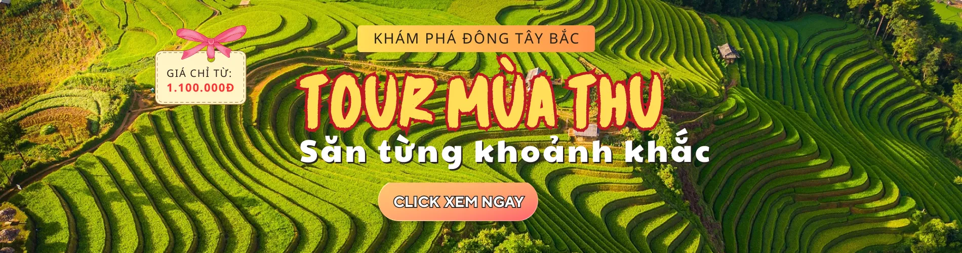 Tour mùa Thu 2025