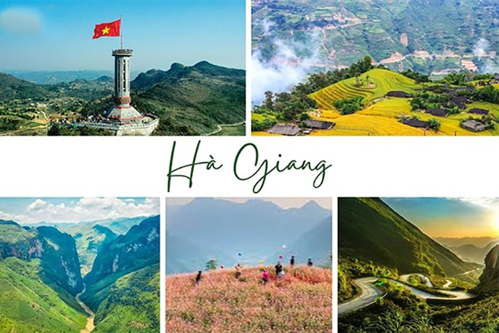 Du khách đến đây sẽ được chiêm ngưỡng ruộng bậc thang uốn lượn, thung lũng xanh mướt, hoa tam giác mạch rực rỡ vào mùa và trải nghiệm đời sống của các dân tộc H’Mông, Dao, Tày qua chợ phiên, lễ hội và homestay truyền thống.