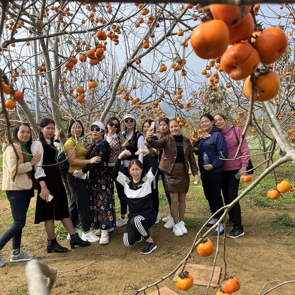 Tour du lịch Tà Xùa - Mộc Châu 3 ngày 2 đêm
