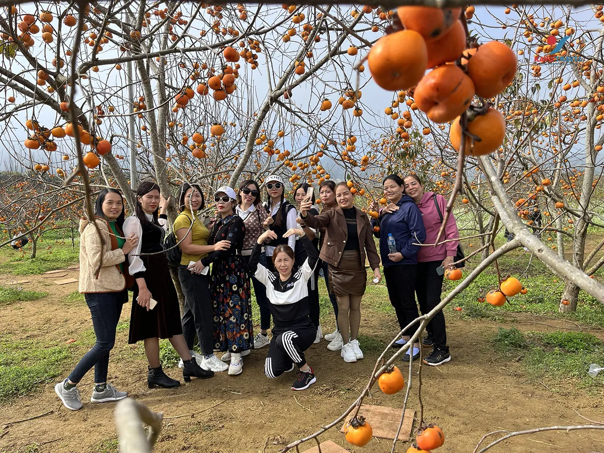 Tour du lịch Tà Xùa - Mộc Châu 3 ngày 2 đêm