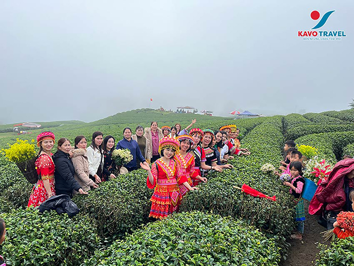 Lựa chọn tour du lịch Mộc Châu 1 ngày của Kavo Travel sẽ giúp bạn trải nghiệm trọn vẹn mọi thắng cảnh, được hướng dẫn chi tiết, có phương tiện di chuyển an toàn và tận hưởng chuyến đi mà không phải chuẩn bị quá nhiều.