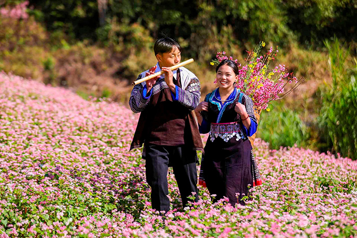 Khám phá Mù Cang Chải mùa hoa tớ dày để tận hưởng cảnh sắc núi rừng rực rỡ và bình yên.