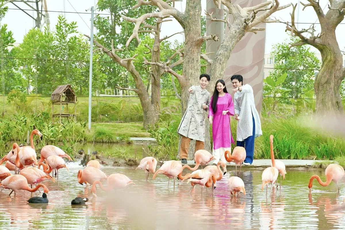 Hồng hạc trong khu Safari Vinwonder Vũ Yên