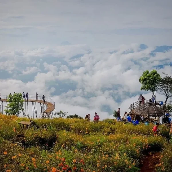 Điểm săn mây lý tưởng tại đỉnh Hang Kia Pà Cò