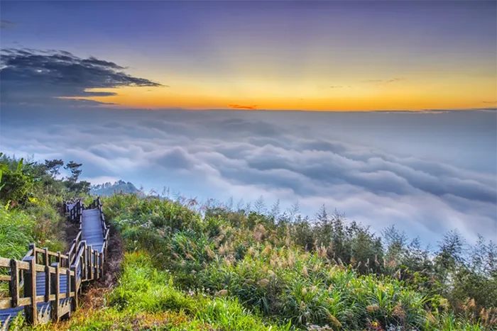 Trải nghiệm 'săn mây' độc đáo tại Alishan