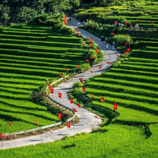 Cung đường chữ S Pù Luông – điểm check-in nổi tiếng được nhiều du khách yêu thích khi khám phá Pù Luông.